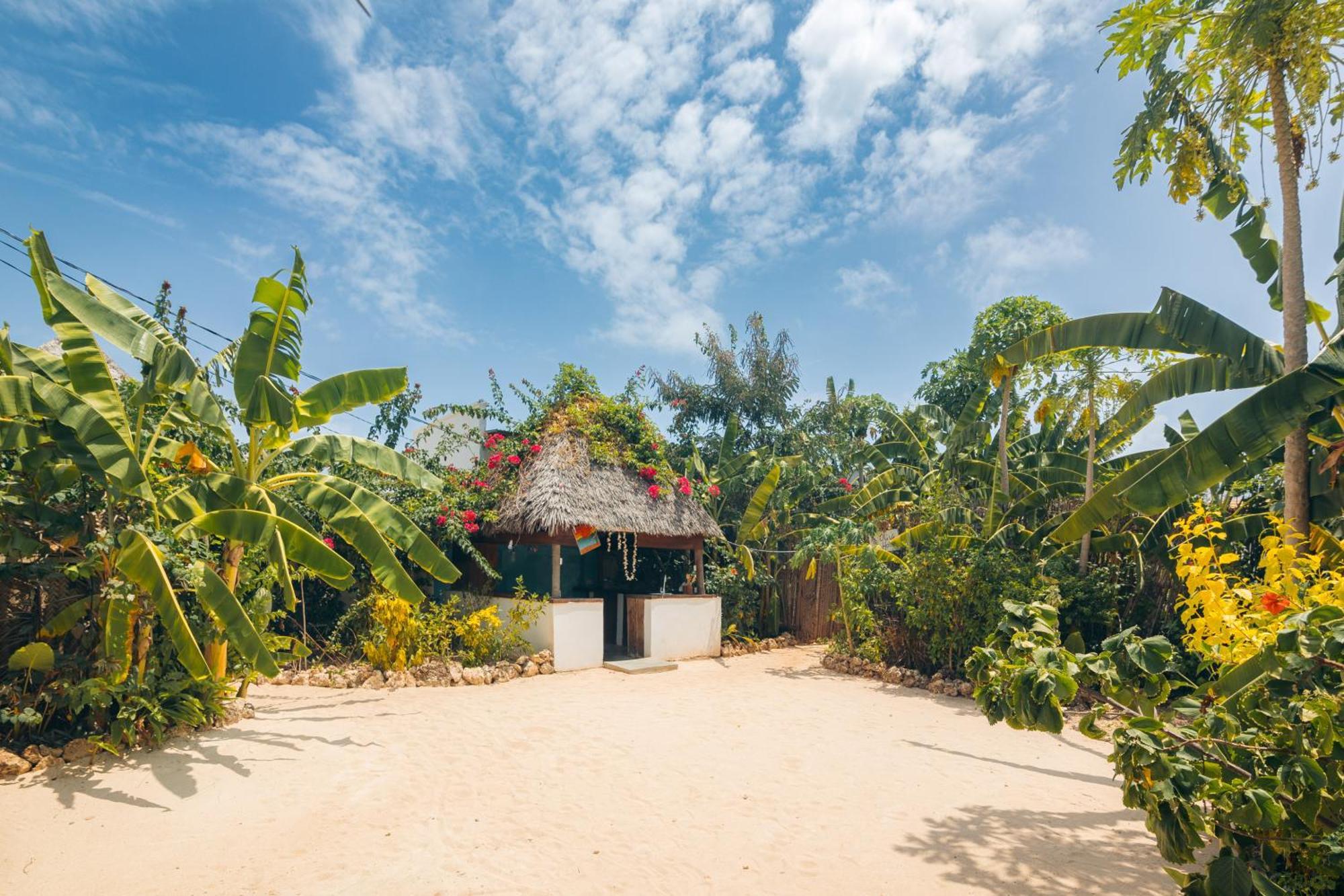 Bukoba Villas - Lily - Private Pool, Ac & Wi-fi Appartement